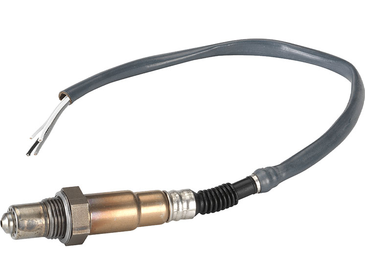 Image-1