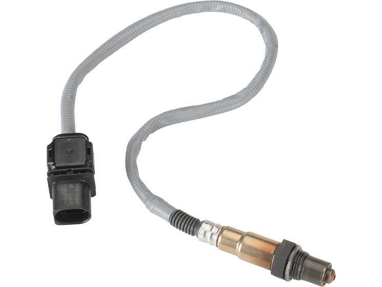 Image-1