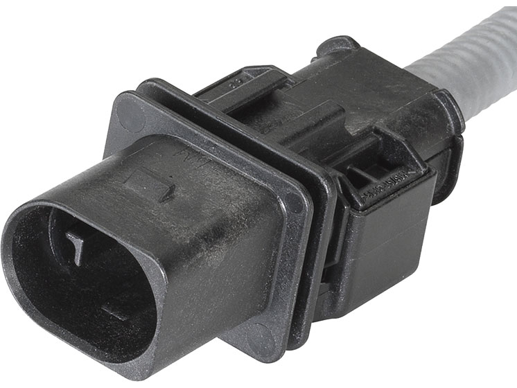 Image-4