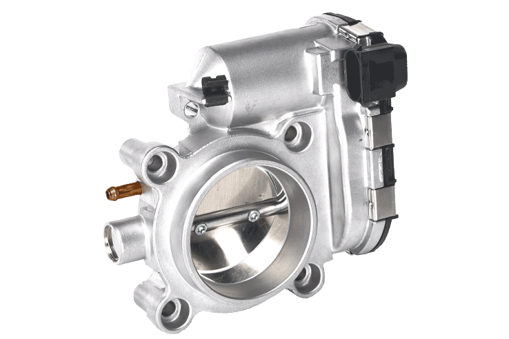 Throttle Bodies